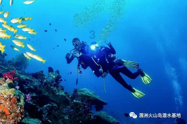 逃出猫头鹰岛